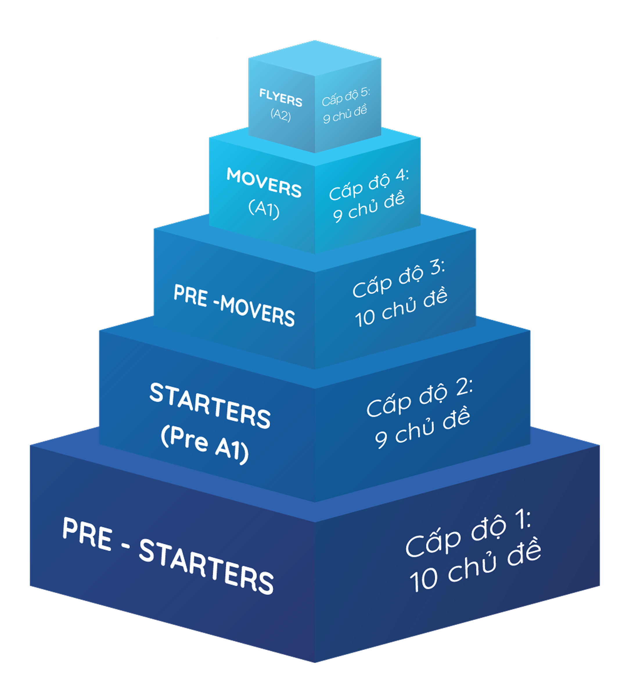 structure-training-image
